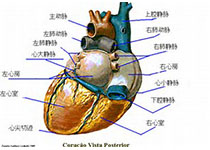 Circ-Heart Fail：肺动脉高压与慢性肾脏病患者较高的心衰住院率和死亡率相关！