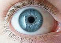 ：美国<font color="red">眼科学</font>会的一项关于与分支视网膜静脉阻塞相关的黄斑水肿的疗法的报告