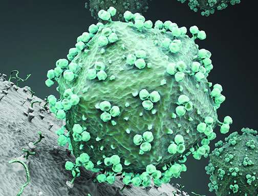 Immunity：科学家找到“运送”艾滋病疫苗的最佳方式，预防艾滋病指日可待！
