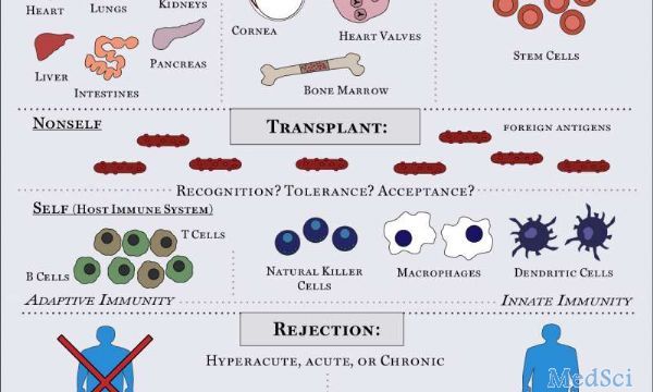 Science <font color="red">Immunology</font> :專家發(fā)現(xiàn)器官排斥的啟始分子