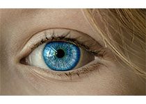 PLoS One：关于临床上单侧剥脱综合征患者两个眼睛之间视网膜血管直径和<font color="red">青光眼</font>参数的比较