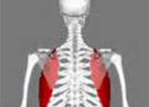 颈<font color="red">肩部</font>酸麻，你可能得了颈肩综合征？