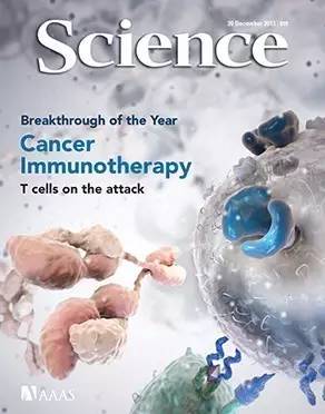 Cell:免疫疗法不起效的难题，竟能靠化疗药物解决