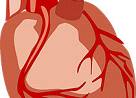 Int J Cardiol：急性<font color="red">冠</font><font color="red">脉</font>综合征后患者发生心力衰竭的预测因素!