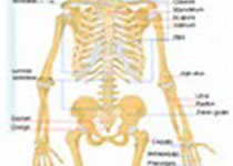 骨科基础 | 4种复杂的肘关节损伤