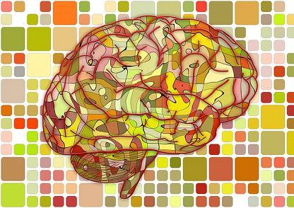 Front Behav Neurosci：月经不会改变你的大脑工作时间