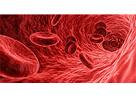 Lancet haemat：<font color="red">inotuzumab</font>治疗急性B淋巴细胞性白血病的肝毒性。