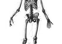小科普：“人老骨脆”并不正常，骨质疏松性骨折如何预防