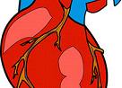 J Hypertens：高血压患者蛋白尿两年变化情况和心肌梗死风险有何关系？