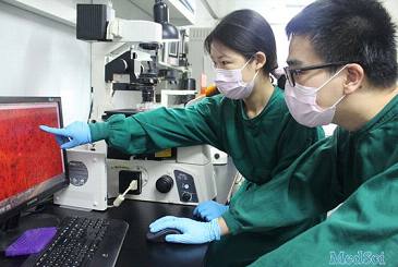 单碱基替换重塑超级干细胞：访生物物理所博士研究生杨济平