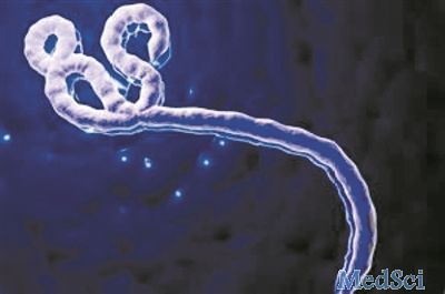 美国CDC：与埃博拉病毒的斗争将是持久战！