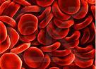 Haematologica：遗传性血小板减少症进展为恶性肿瘤的风险因素有哪些？