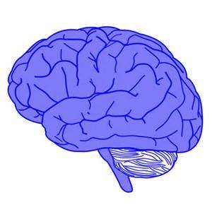 SCI REP： 聪明的大脑：健康长者的见解