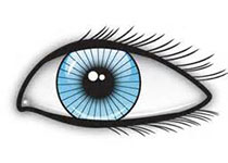 Retina.：比较2D和3D视频在视网膜外科手术中的教学效果!