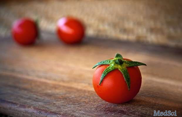 SCI REP：多吃西红柿可减少皮肤癌的发展