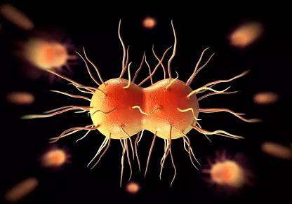 PLoS Med：WHO严重警告：“超级淋病细菌”正在全球扩散，已接近无药可医