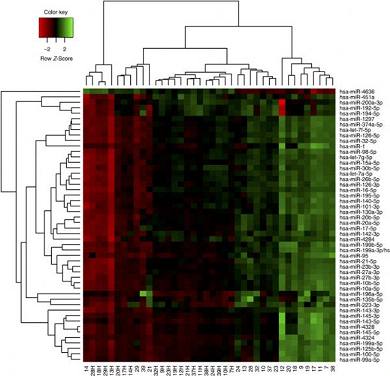 Br J Cancer：胃癌血清微小RNA生物标志物评估：miR-<font color="red">21</font>和miR-331的重要性