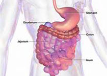 Br J Cancer：新辅助伊马替尼在胃肠间质瘤中的II期研究