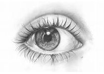 Int Ophthalmol.：急性淋巴细胞白血病的复发表现为浆液性视网膜脱落和视盘肿胀！