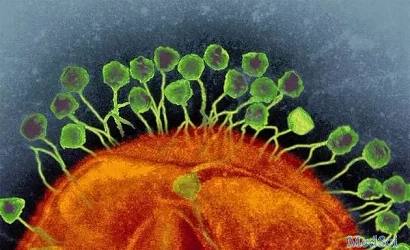 Nature：噬菌体疗法重出江湖，会是抗生素耐药菌的新克星吗？