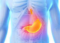 慢性胃炎及上皮性肿瘤<font color="red">胃黏膜</font>活检病理诊断共识