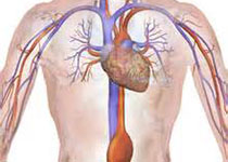 JAMA Intern Med：健康成人臭氧暴露与心肺功能改变的病理生理机制。