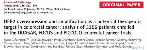 Lancet Oncol：希腊神话中的HERACLES为结直肠癌的精准治疗助一臂之力——<font color="red">HER</font>-<font color="red">2</font><font color="red">与</font>转移性结直肠癌（一）