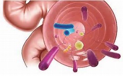 Inflamm bowel dis：<font color="red">肠道</font>病毒真的影响IBD吗？