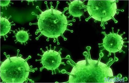 Nat Commun：复旦大学研究者发现对抗寨卡病毒的潜在治疗方案