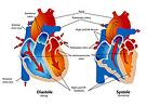 胡盛寿：心血管防控从论文驱动向临床驱动转变