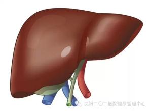 首个全<font color="red">口服</font>直接抗丙肝病毒治疗方案正式在中国上市
