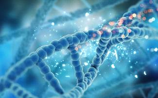 Nat Commun：新研究发现缩短寿命的16个遗传标记