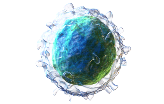 Nat Immunol：预防自身免疫性疾病的机制新发现