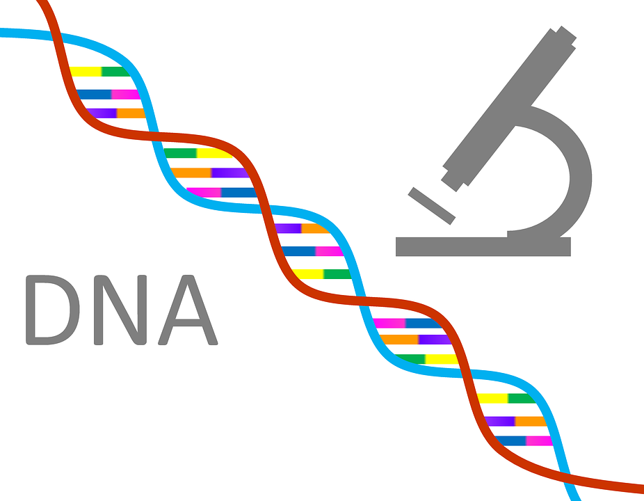 《自然》正式刊登论文证实编辑人类早期胚胎DNA安全有效