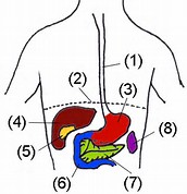 J Gastroen Hepatol：反流性食管病的鉴别方法——食管胃交界部收缩积分vs食管胃交界部<font color="red">形态学</font>