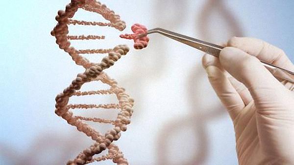 CRISPR专利之争出现新对手：默克集团子公司获欧洲专利