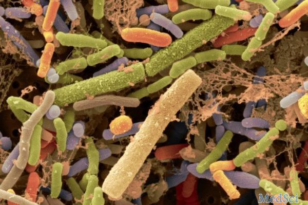 重复 Science：为什么膳食纤维可以让我们更健康？答案在肠道微生物……
