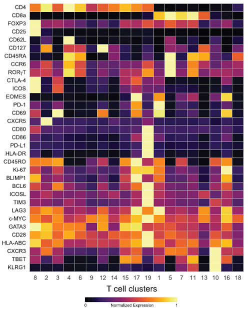 Cell:免疫疗法大牛James Allison最新：PD-1抗体与<font color="red">CTLA-4</font>抗体原来如此不同