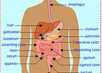 Gastroenterology：<font color="red">胃肠</font>道肿瘤的种族差异