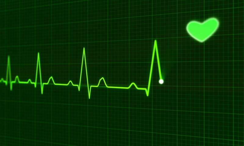 J Thorac Cardiov <font color="red">Sur</font>:心脏病患者的福音：科学家发现Gata4或可还你一颗健康的心脏！