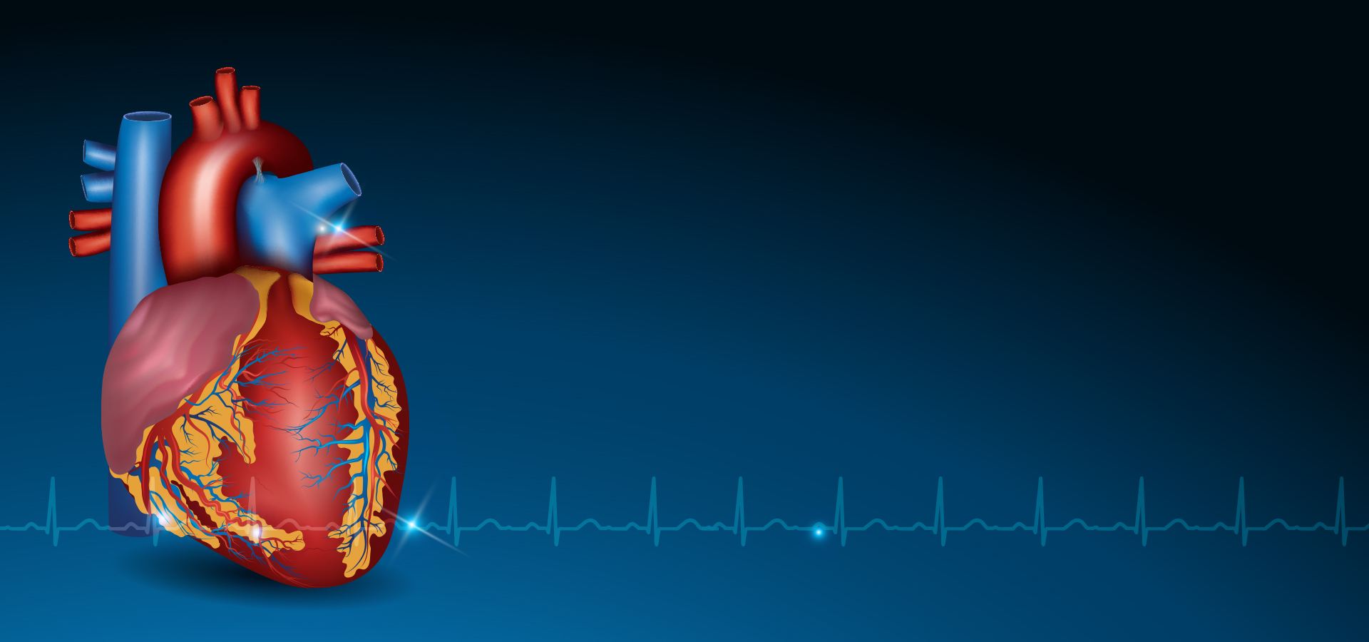 Sci Rep：人造血管：开辟老年化心脏病治疗新篇章！
