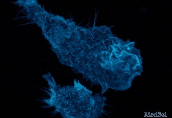 Science Advances：免疫细胞“呕吐”，阻止病原菌感染