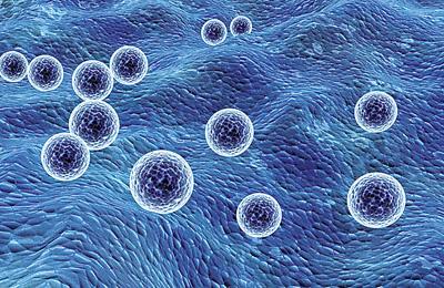 Exp Biol Med：科学家利用植物病毒传递系统极大地增强了抗癌药物的功效！