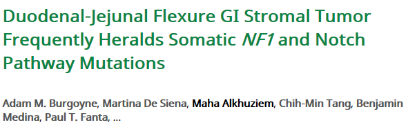 JCO Precis Oncol:NF1突变与胃肠道肿瘤GIST发生<font color="red">有关</font>