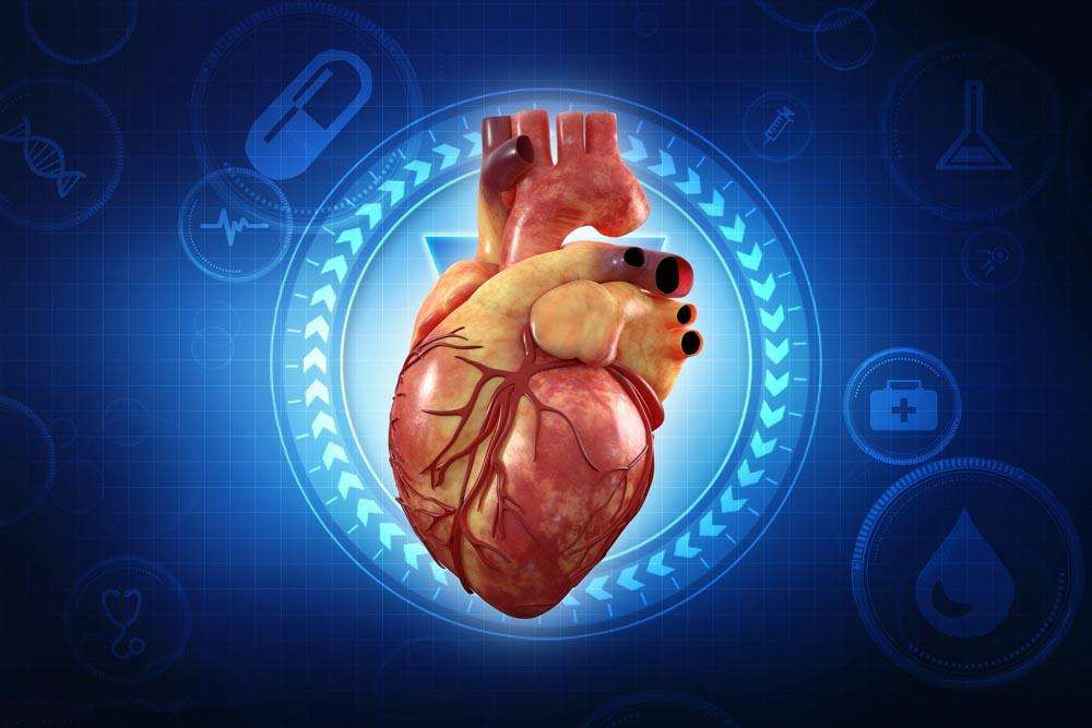 Nat Commun：科学家发现触发心脏细胞再生与修复的关键分子，心脏病治疗获突破性进展！