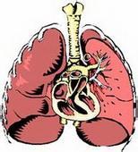 Resp Res:<font color="red">慢</font>阻肺患者使用β受体阻滞剂可以放心啦！
