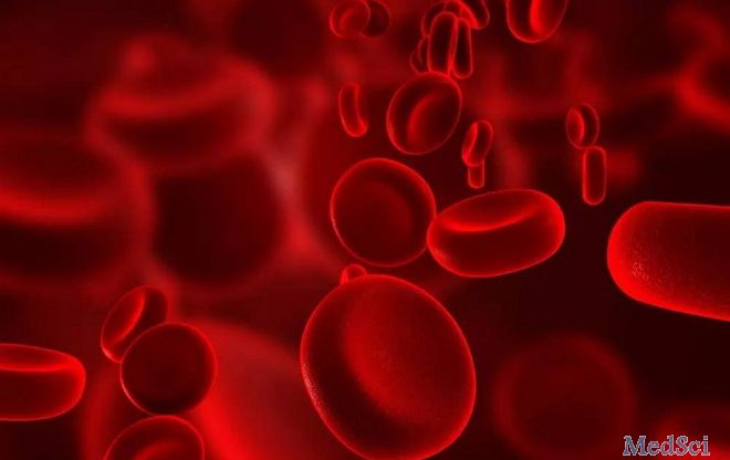 LEUKEMIA：揭示急性白血病进展新机制