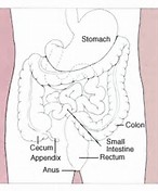 Gastroenterology：结肠非整倍体检测与结肠癌风险评估