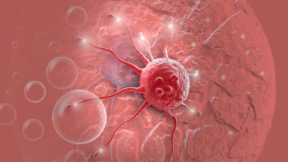 Nat Cell Biol：研究发现有效杀灭癌细胞的新途径！