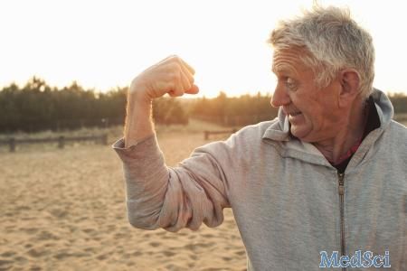 减少卡路里+锻炼增强老年人的肌肉功能
